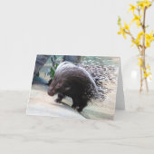 Carte de voeux Prickly Porcupine (Fleur jaune)