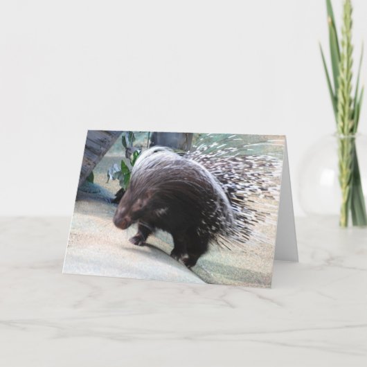 Carte de voeux Prickly Porcupine (Devant)