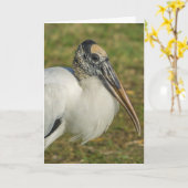 Carte de voeux - Profil de la cigogne à bois (Fleur jaune)