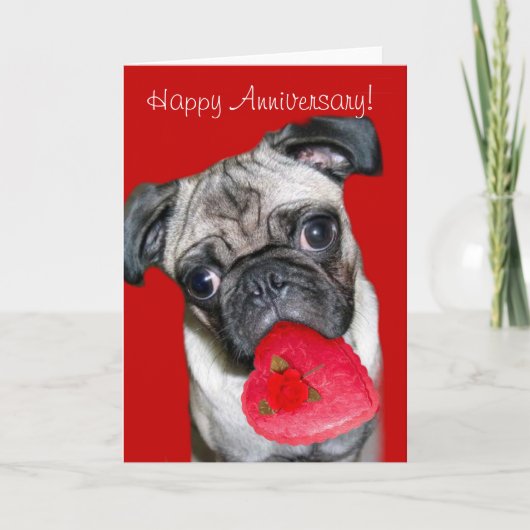 Carte de vœux Pug pour anniversaire de mariage (Devant)