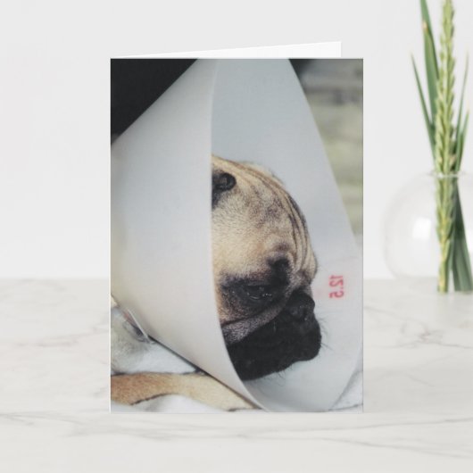 Carte de voeux Puggy Get Well (Devant)