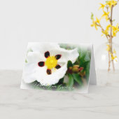 Carte de voeux Pure White & Bright Blossom (Fleur jaune)