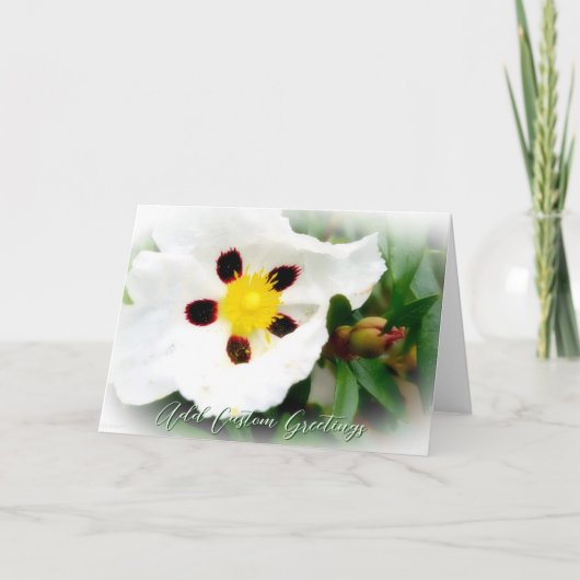 Carte de voeux Pure White & Bright Blossom (Devant)