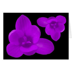 Carte de voeux Purple Crocus