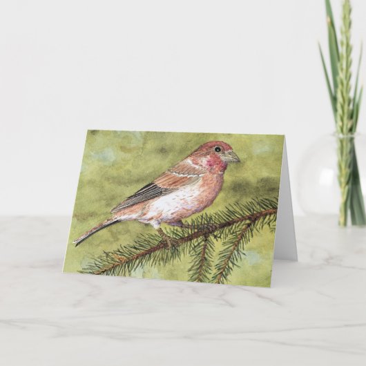 Carte de voeux Purple Finch (Devant)