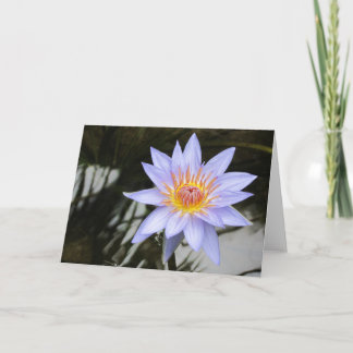 Carte de voeux Purple Water Lily