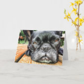 Carte de voeux Queen WiFi Penser à votre (Fleur jaune)