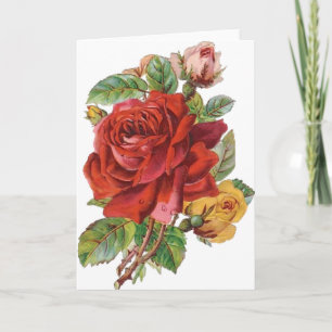 Carte de voeux quotidienne des Roses vintages