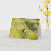 Carte de voeux - Rabbit 3 (Fleur jaune)