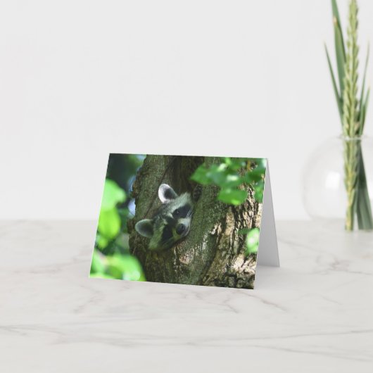 Carte de voeux Raccoon Friendship (Devant)
