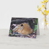 Carte de voeux Red Fox (Fleur jaune)