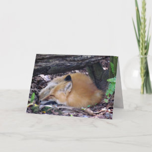 Carte de voeux Red Fox