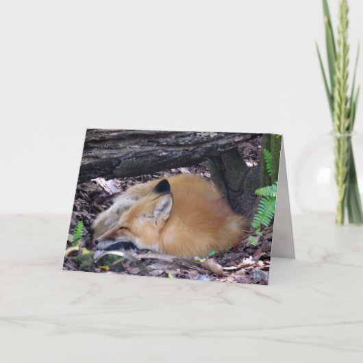 Carte de voeux Red Fox (Devant)