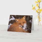 Carte de voeux "Red Fox" (Fleur jaune)