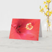 Carte de voeux Red Hibiscus (Fleur jaune)