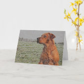 Carte de voeux Red Lab (Fleur jaune)