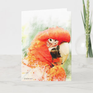 Carte de voeux Red Macaw Watercolor