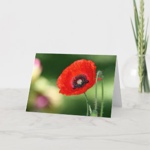 Carte de voeux Red Poppy Seed