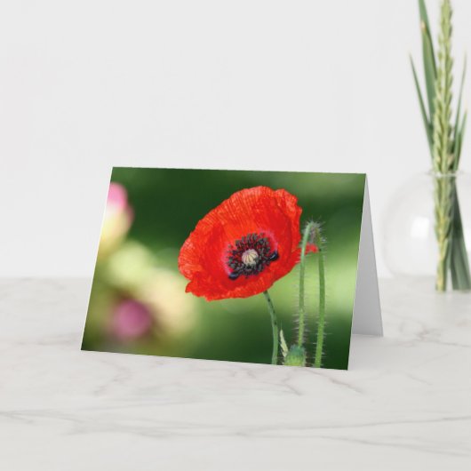 Carte de voeux Red Poppy Seed (Devant)
