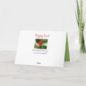 Carte de voeux Red Poppy Seed (Dos)