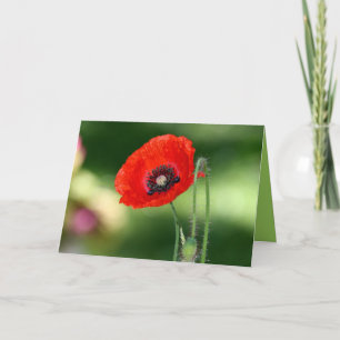 Carte de voeux Red Poppy Seed