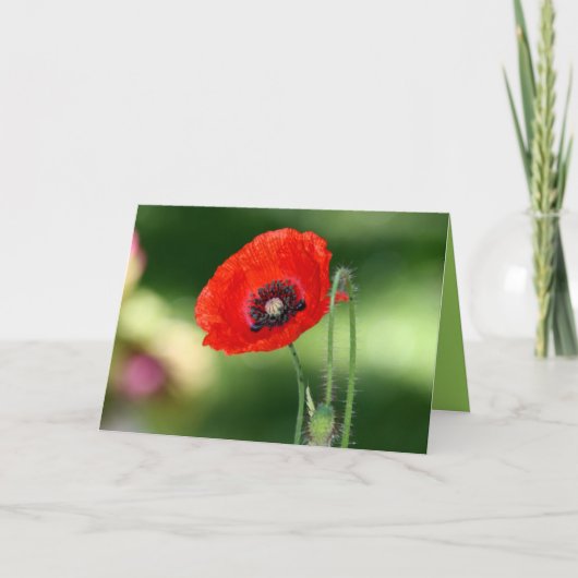 Carte de voeux Red Poppy Seed (Devant)