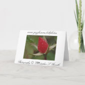Carte de voeux Red Rose (Dos)