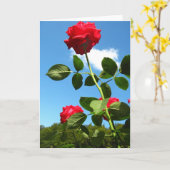 Carte de voeux Red Roses (Fleur jaune)