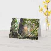 Carte de voeux Red Shoulder Hawk (Fleur jaune)