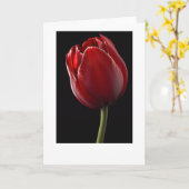 Carte de voeux Red Tulip (Fleur jaune)