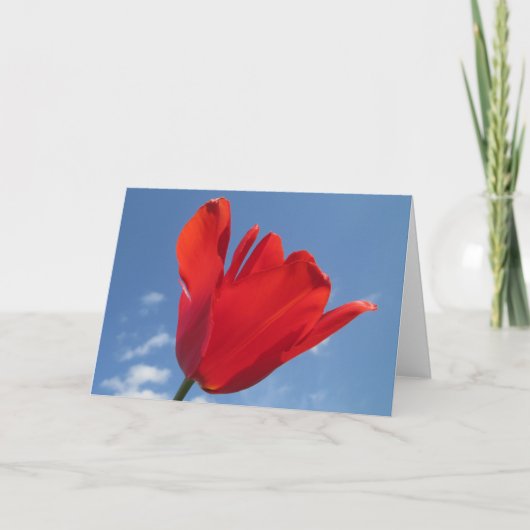 Carte de voeux - Red Tulip Blue Sky (Devant)