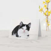 Carte de voeux réfléchie blanche noire de chaton (Fleur jaune)