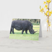 Carte de voeux Rhino Grazing (Fleur jaune)