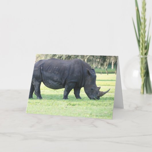 Carte de voeux Rhino Grazing (Devant)