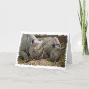 Carte de voeux Rhinos couchage