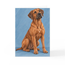 Carte de vœux Rhodesian Ridgeback