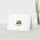 Carte de voeux Robin (Dos)