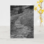 Carte de voeux rocheuse de route (Fleur jaune)