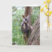 Carte de voeux Rock Wallaby (Fleur jaune)