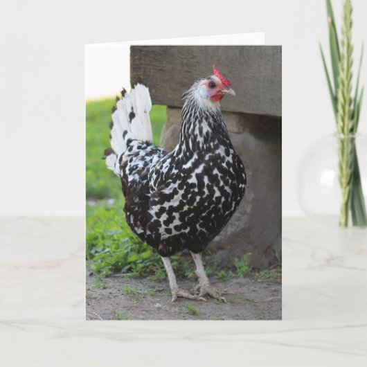 Carte de voeux Rooster (Devant)
