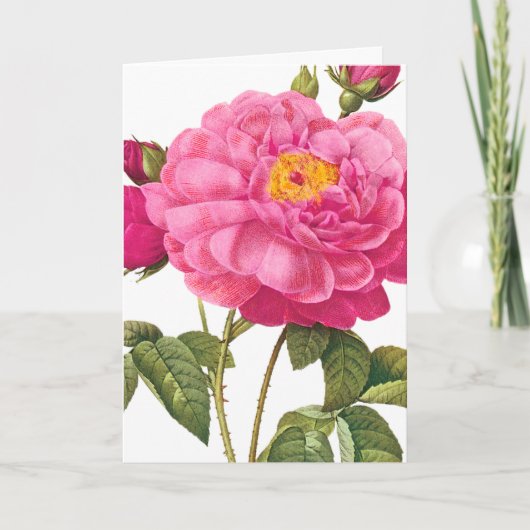 Carte de voeux rose (Devant)