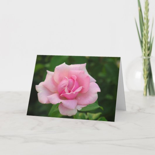 Carte de voeux rose (Devant)
