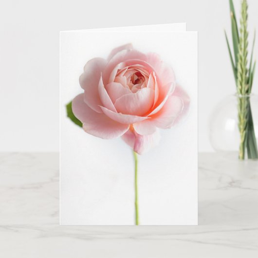 Carte de voeux rose (Devant)