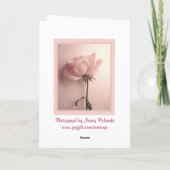 Carte de voeux rose (Dos)