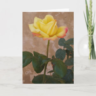 Carte de voeux rose