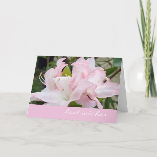 Carte de voeux Rose Azaleas (Devant)