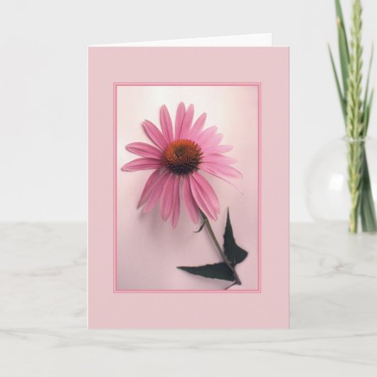 Carte de voeux rose de Coneflower (Devant)
