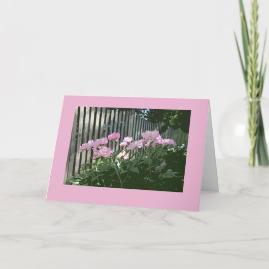 Carte de voeux rose de pivoines (Devant)