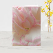 Carte de voeux rose et blanc (Fleur jaune)