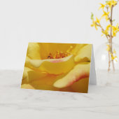 Carte de voeux Rose jaune (Fleur jaune)
